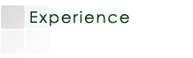 Experience